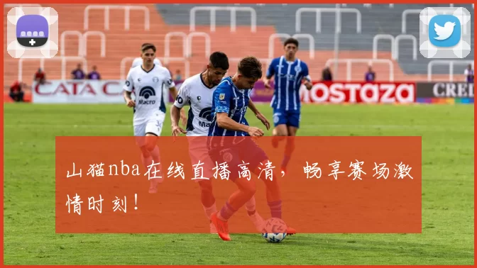 山猫nba在线直播高清，畅享赛场激情时刻！