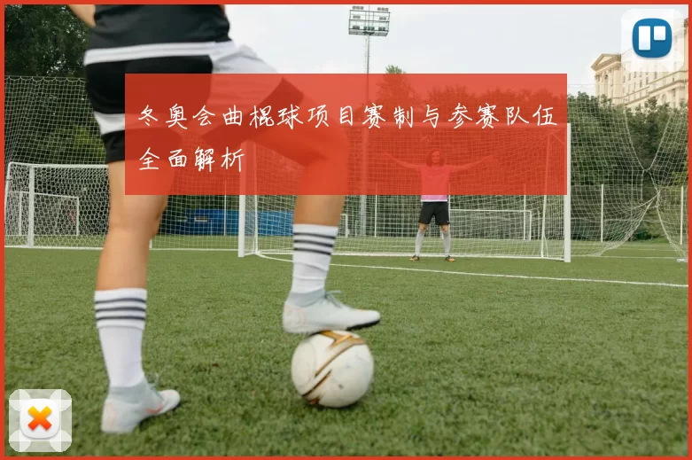 冬奥会曲棍球项目赛制与参赛队伍全面解析