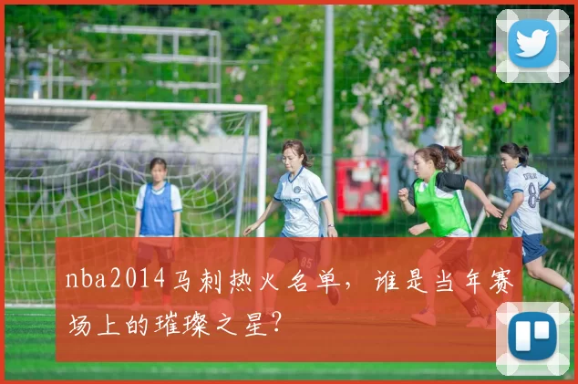 nba2014马刺热火名单，谁是当年赛场上的璀璨之星？