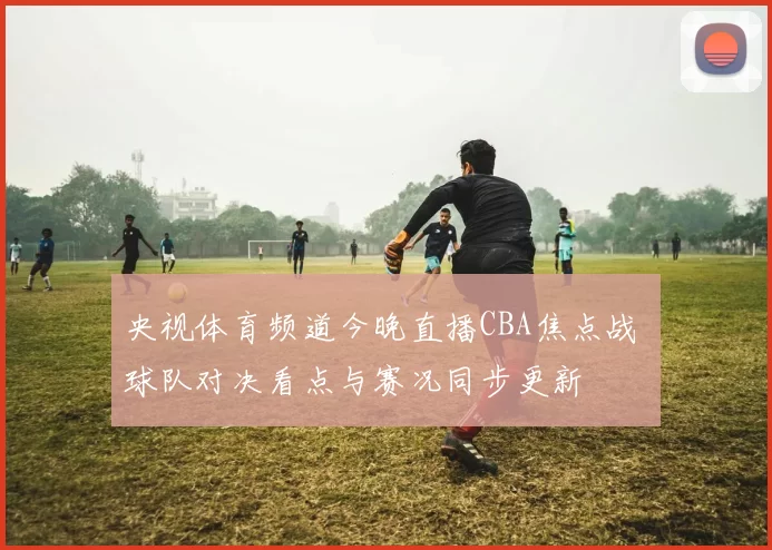 央视体育频道今晚直播CBA焦点战 球队对决看点与赛况同步更新